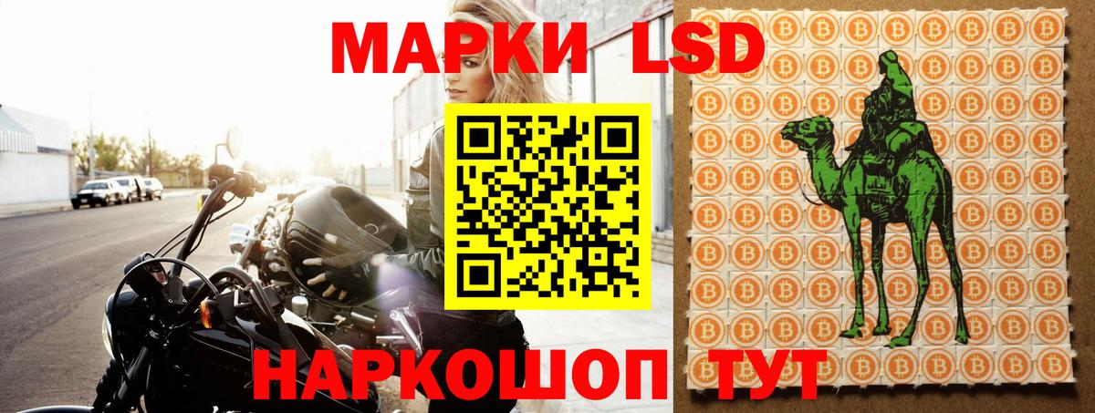 Конопля Новосибирск