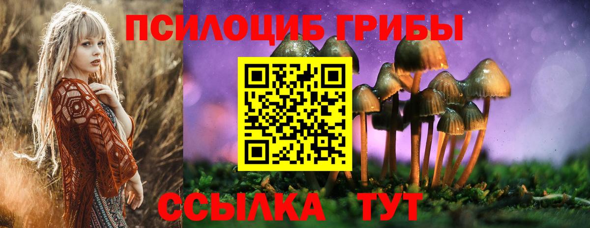 Новосибирск  Псилоцибиновые грибы MAGIC MUSHROOMS  Вход с VPN 