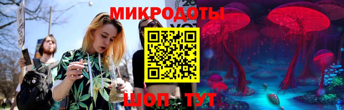 Галлюциногенные грибы прущие грибы Новосибирск